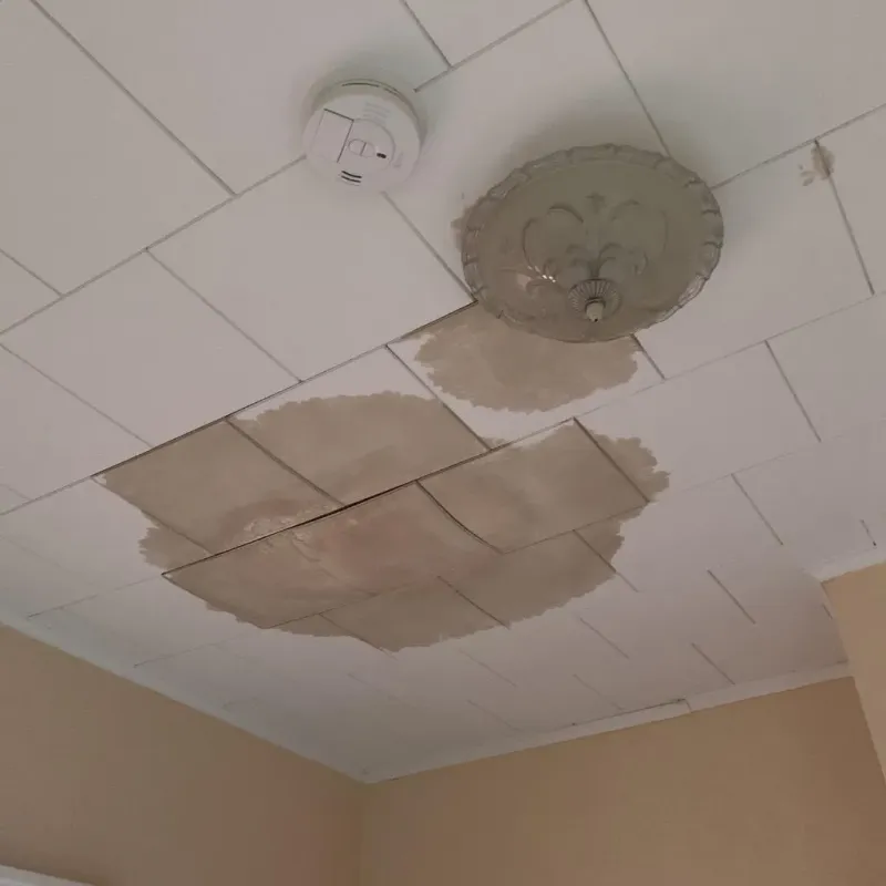 Ceiling Water Damage Repair in Warrensburg, MO